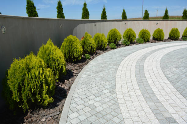 Best Driveway Repair Near Me  in Saranac Lake, NY